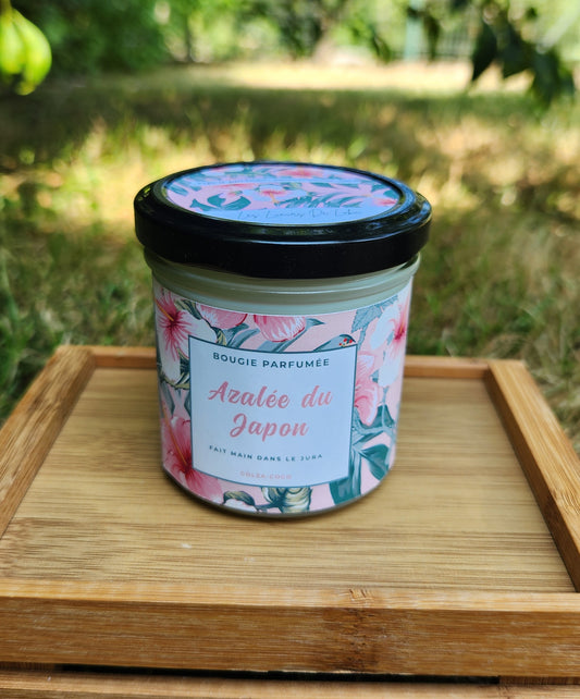 Bougie Azalée du Japon