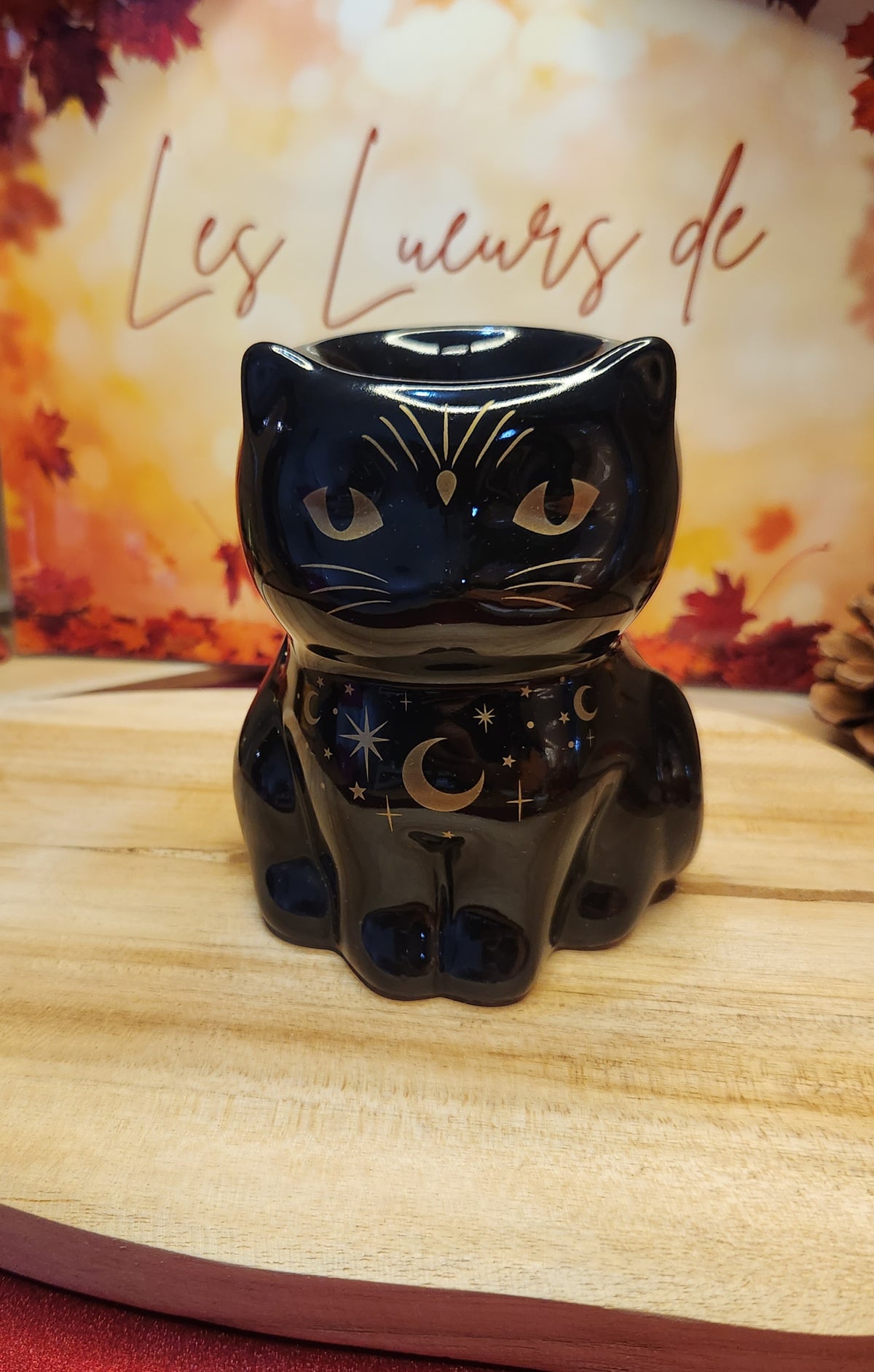 Chat noir