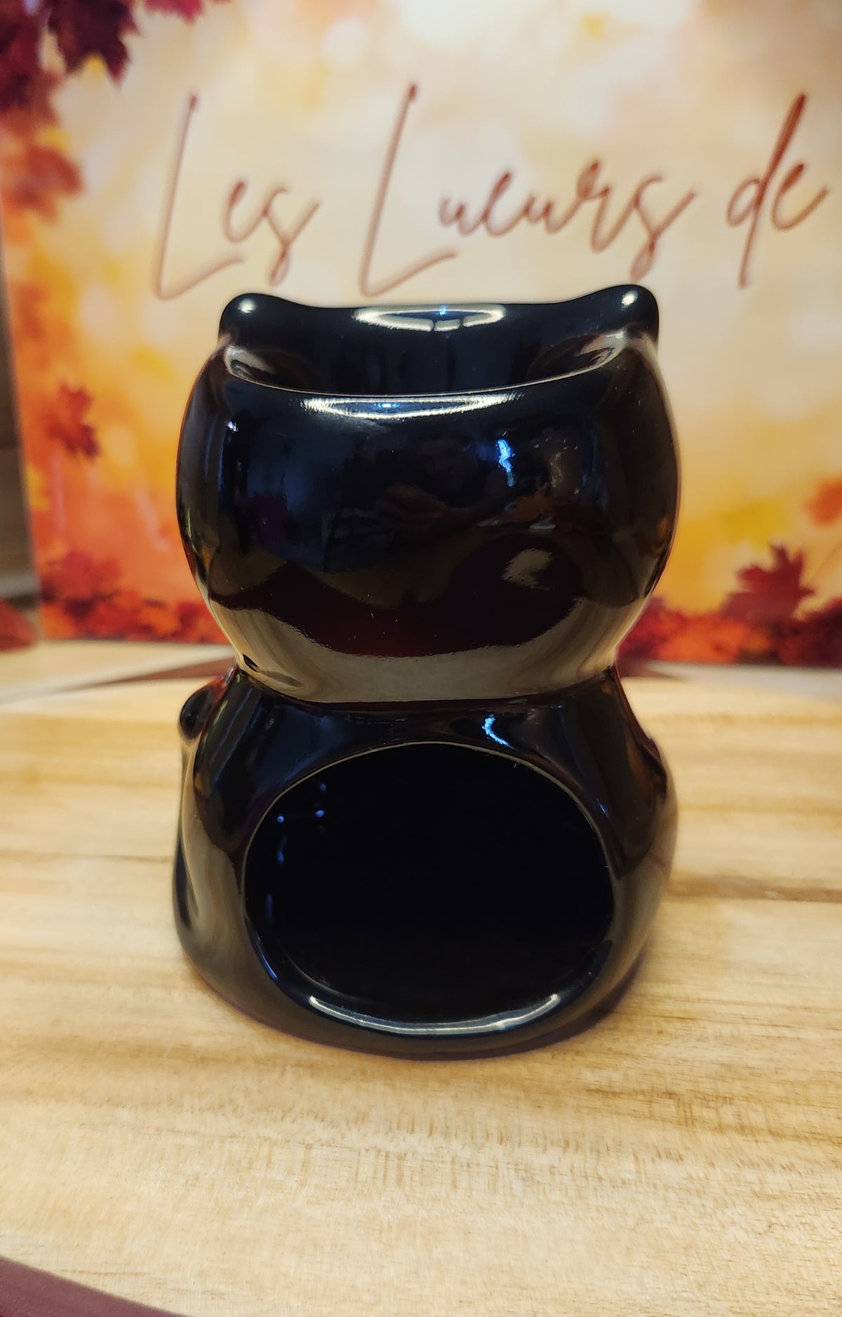 Chat noir