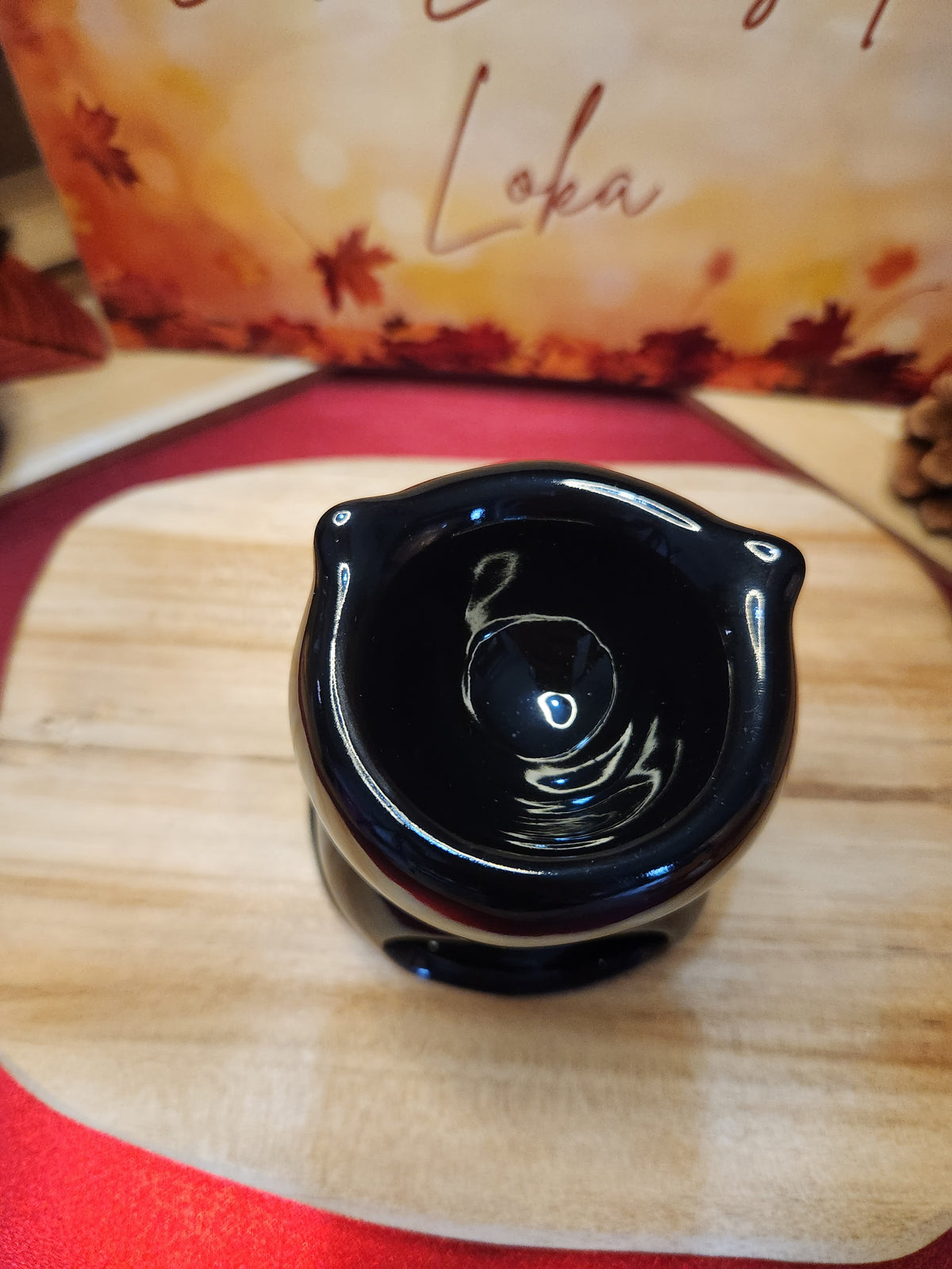 Chat noir