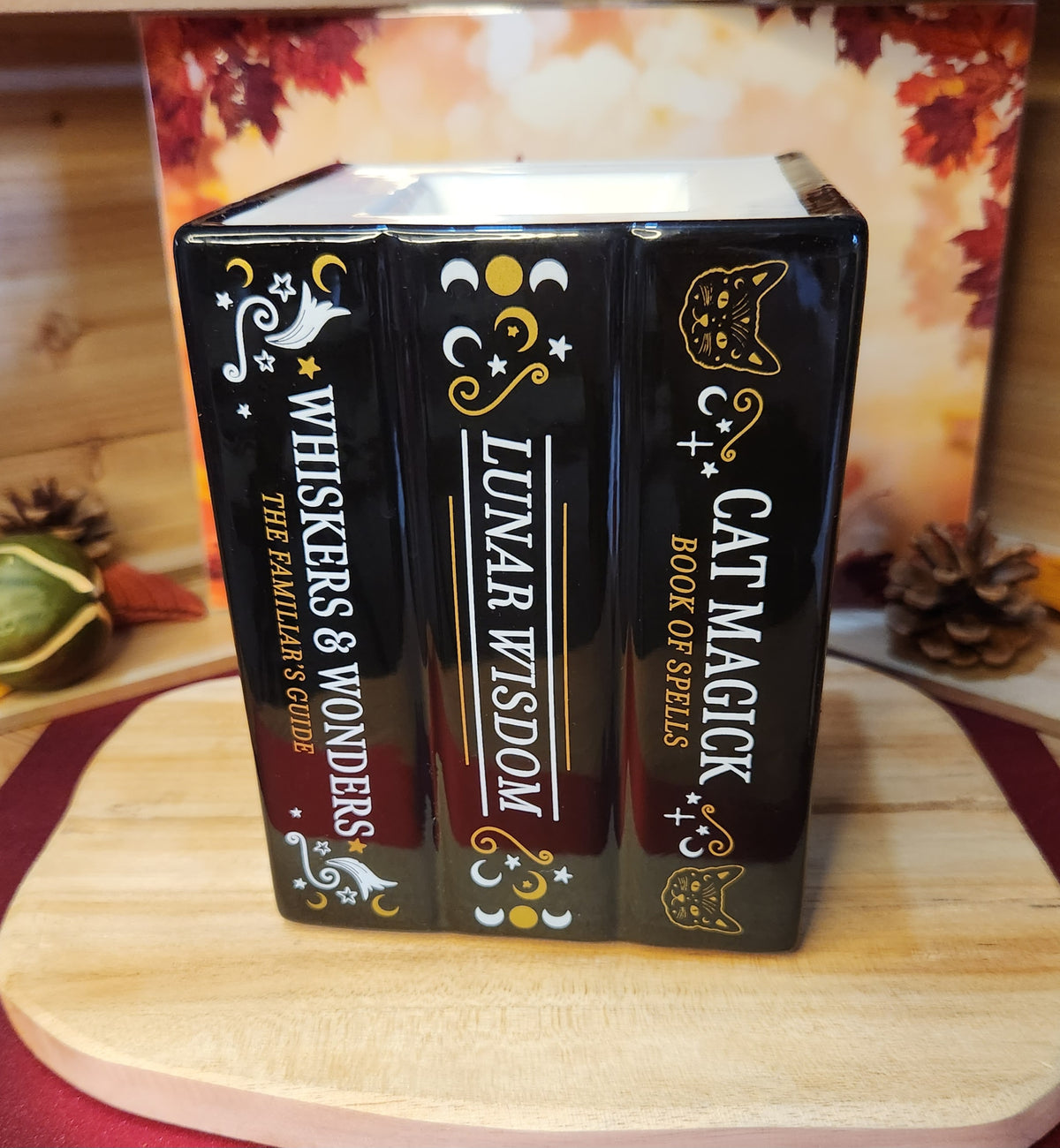 Livre de sortilèges