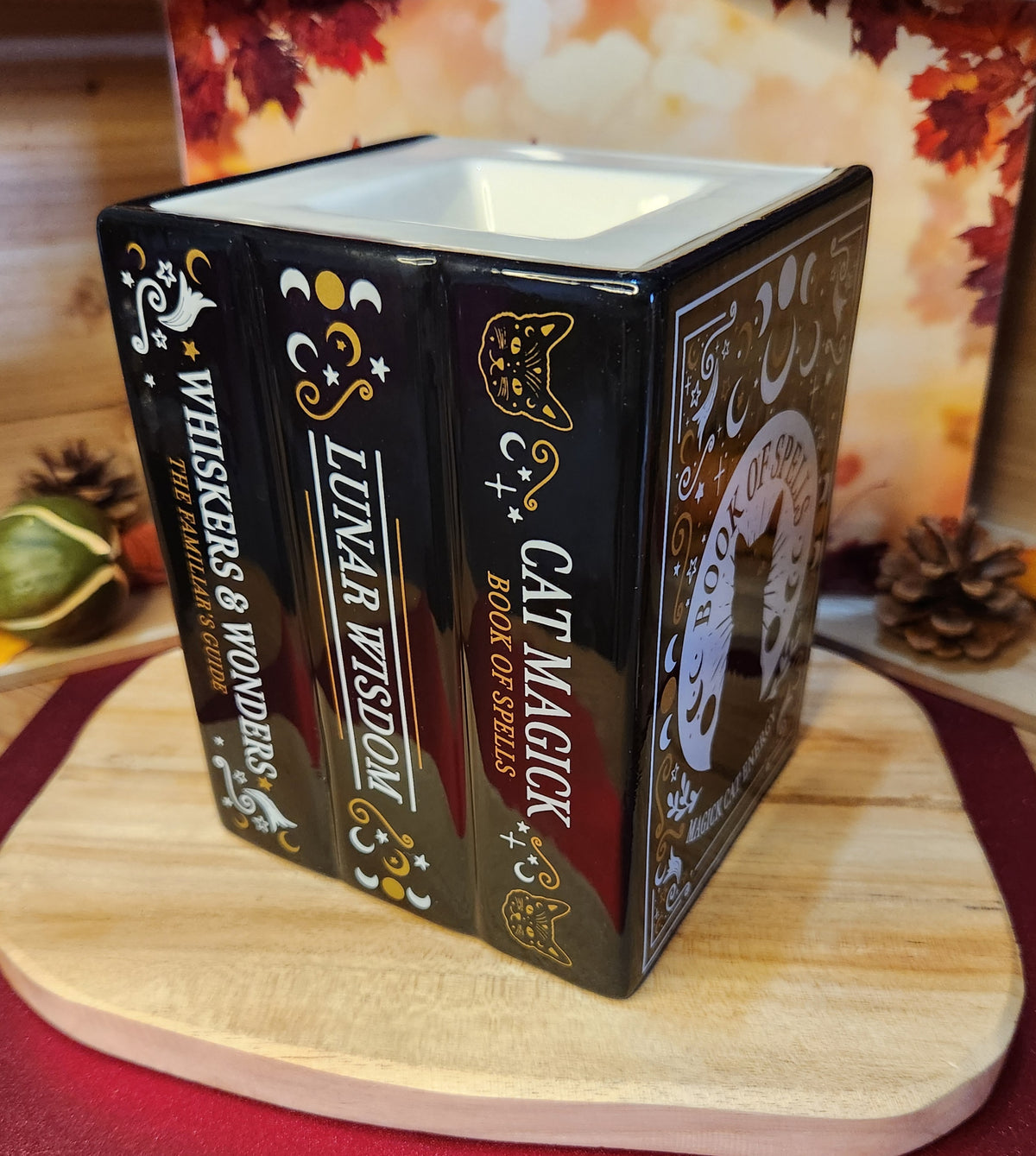Livre de sortilèges