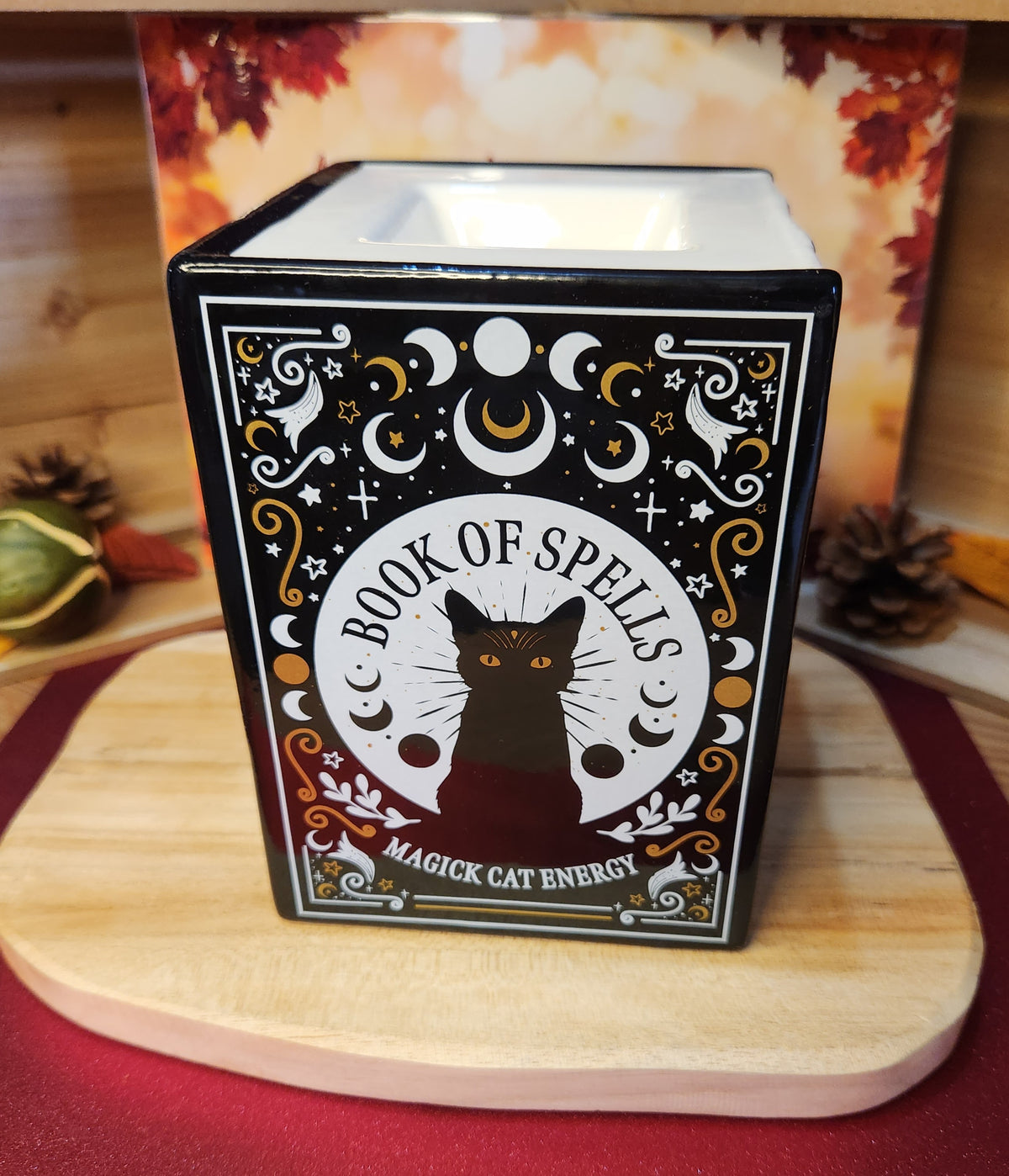 Livre de sortilèges